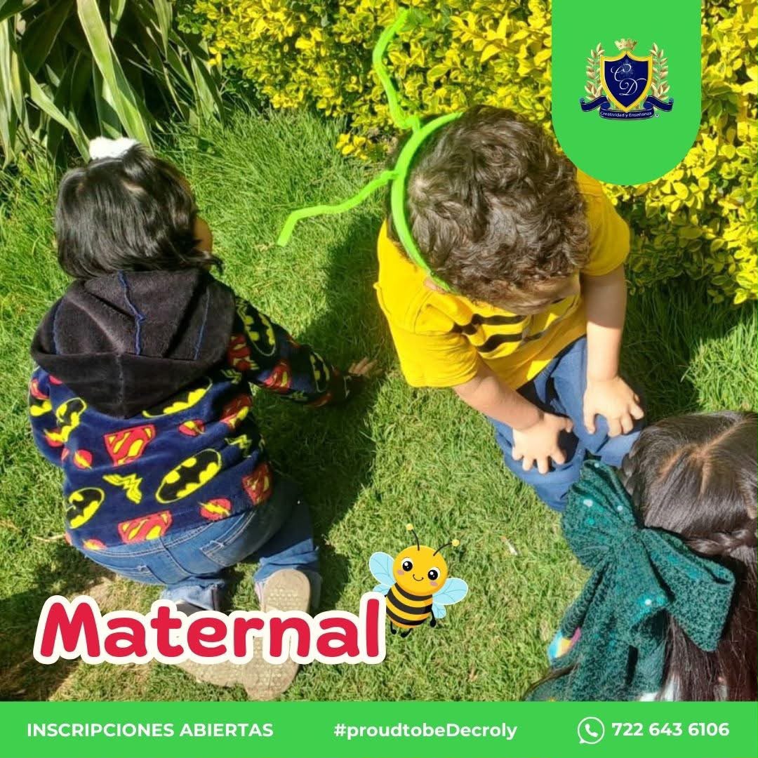 Galería Colegio Creatividad y Enseñanza Decroly 02