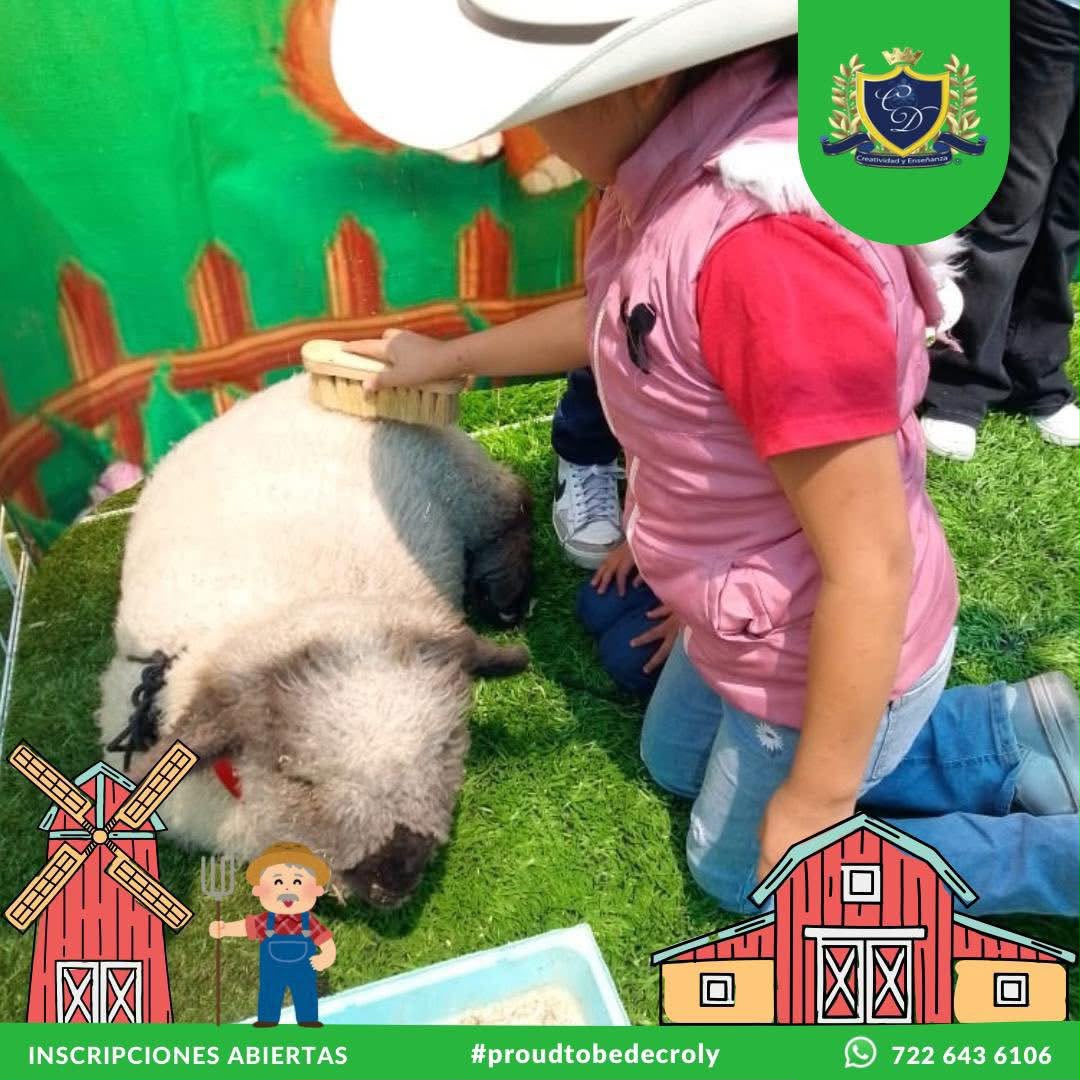 Galería Colegio Creatividad y Enseñanza Decroly 04