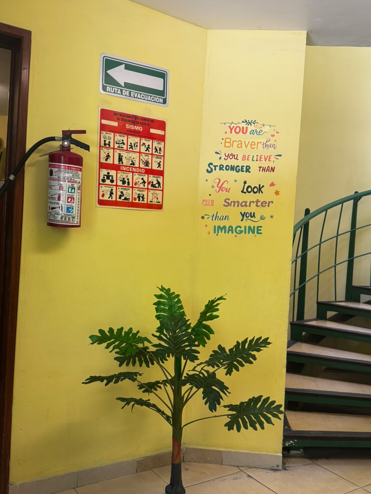 Galería Colegio Creatividad y Enseñanza Decroly 13